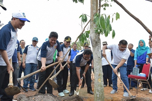Pemprov Kepri Bersama Bank Riau Kepri Tanam 1.000 Pohon Angsana